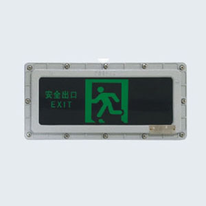 BYY系列防爆消防應(yīng)急標(biāo)志燈具(IIB、IIC)